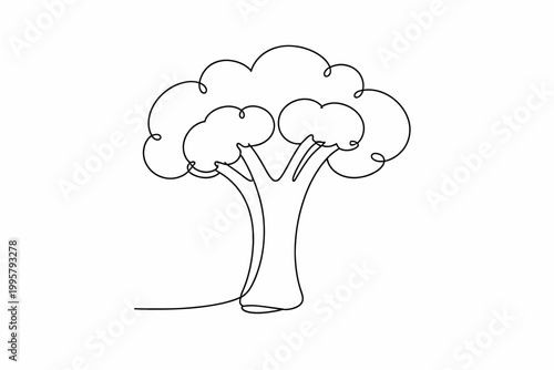 Minimalistic broccoli line drawing - simple vegetable outline art illustration