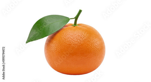 Vector illustration of fresh ripe mandarin orange with green leaf on a transparent background
