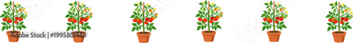 Six potted tomato plants with stakes and red fruit vector.