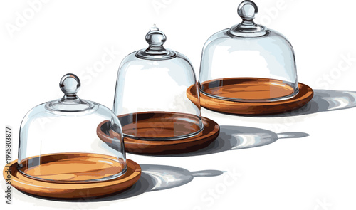 Isolated a realistic kinds of deferent Closed glass serving Cloche and wooden plate 3d rendering vector art with white background.