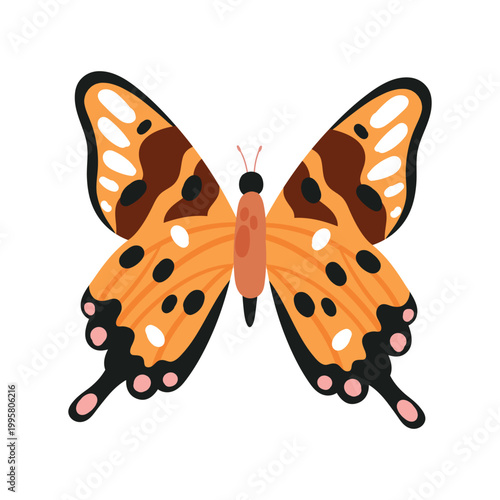 Cartoon colorful hand drawn butterfly flying vector illustration isolated