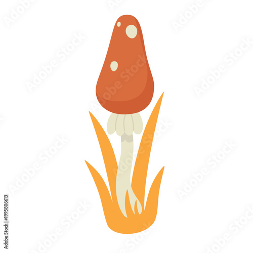 Poisonous mushroom. Amanita muscaria, toxic mushroom, forest flora vector illustration