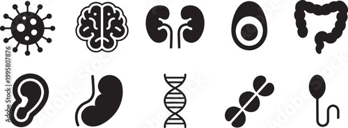 Collection of human anatomy and biology icons virus brain kidneys egg cell DNA bone and sperm.