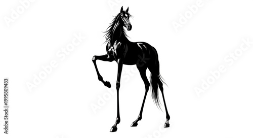 Elegant Black Horse Rearing Up Silhouette.
