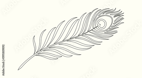Elegant Peacock Feather Line Art Illustration Minimalist Hand Drawn Vector Design for Decoration
