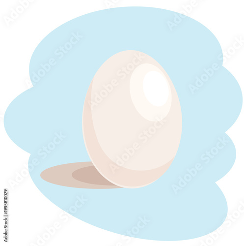 White chicken egg isolated on background, organic farm product, fresh food ingredient, flat vector illustration.
