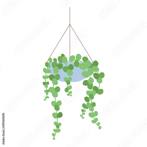 Indoor hanging houseplant. Decorative wall plant in pot, green botanicals vector cartoon illustration