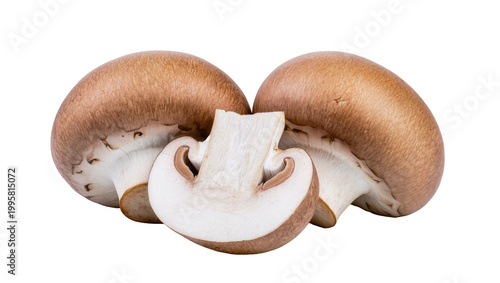 Sliced brown mushrooms with caps and stems arranged in a row
