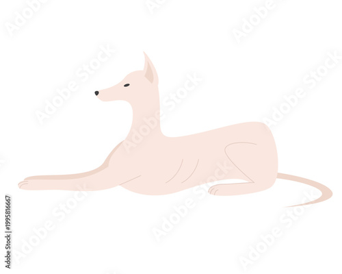 White dog in lying down pose. Domestic family pet, canine breed, white puppy dog cartoon vector illustration