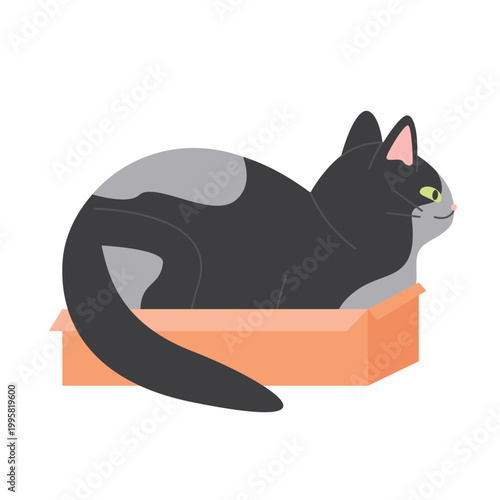 Funny cat sitting in carton box. Best place for sleeping for cats, playful furry kitten cartoon vector illustration