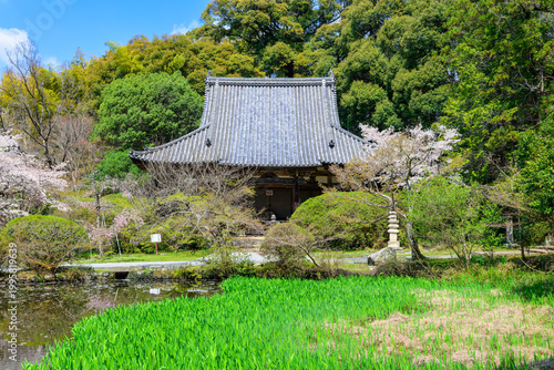 【奈良県】天理市 長岳寺 (2026/04/02撮影)