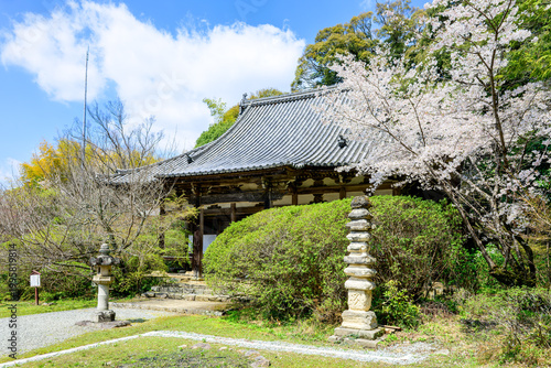【奈良県】天理市 長岳寺 (2026/04/02撮影)