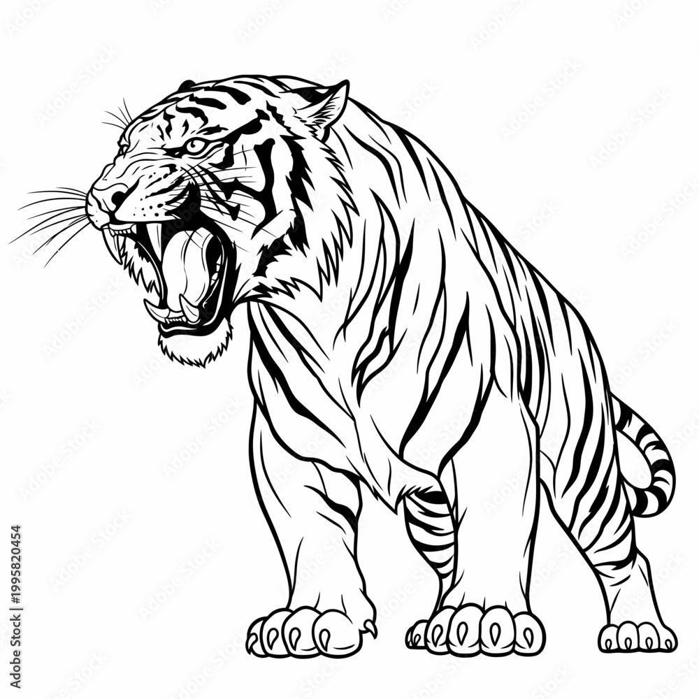 Obraz premium Tiger roars with bared fangs in a detailed black and white illustration for creative projects.