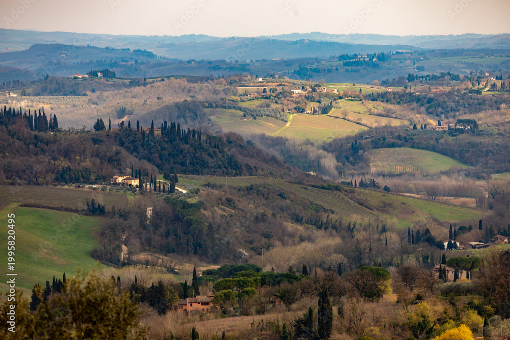 Fototapeta premium Rolling Hills panorama with cypress trees in Tuscany, Italy