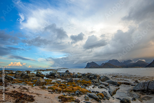 beach in the morning