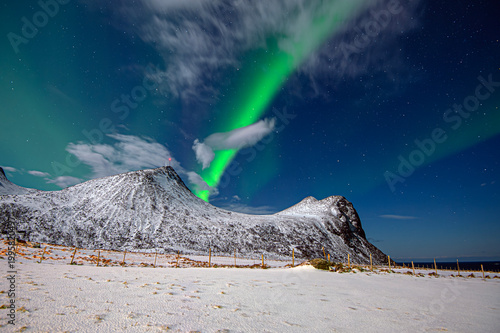 Aurora borealis on sky at Flakstad island, Lofoten islands