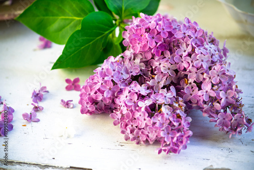 Spring branch of blossoming lilac closeup. flowers background