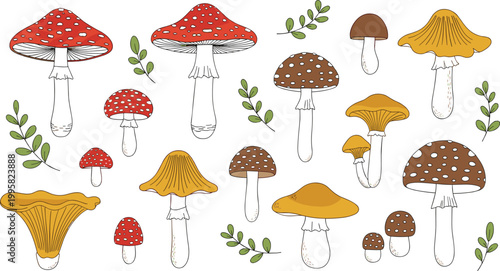 Botanical Mushroom and Forest Fungi Illustration Set Featuring Hand Drawn Red Fly Agaric Amanita Muscaria Chanterelles and Wild Toadstools with Green Leaves for Autumn Seasonal Design and Woodland Nat