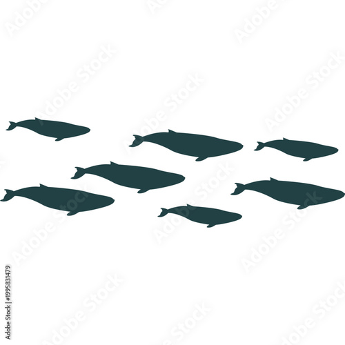 Pod of Blue Whale Silhouettes Vector Art
