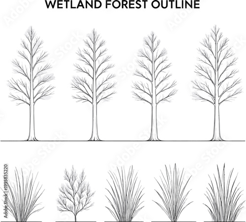 Create a kinds of deferent Architectural Drawings, Minimal style cad tree line drawing, Side view, set of section wetland forest outline for landscape design drawing separate element vector art .