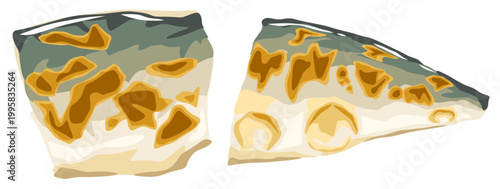 焼きサバの切り身