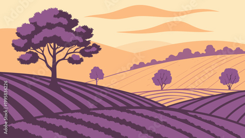 Countryside lavender landscape with trees at sunset lavender landscape