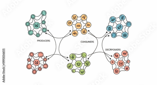 Ecosystem food web network diagram.