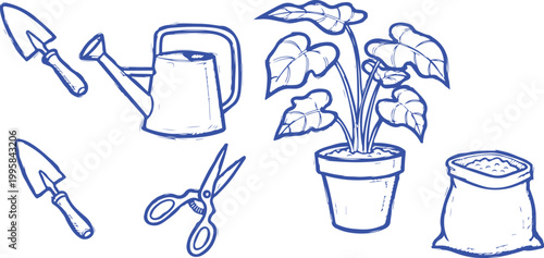 Essential Gardening Tools Tips for Healthy Potted Plants Pruning Transplanting