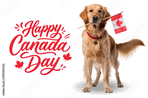 Golden retriever dog holding a small Canadian flag in its mouth, wearing a red collar, with a festive 