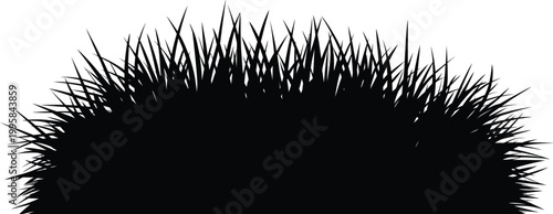 Black silhouette of grass blades against 