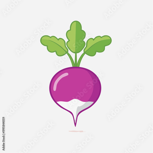 Stylized illustration of a radish with green leaves