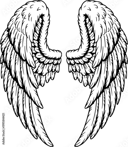 Detailed black and white angel wings white background, feather