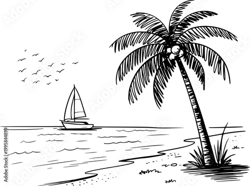 Hand-drawn of a sailboat the ocean near a palm tree and flying birds beach yacht