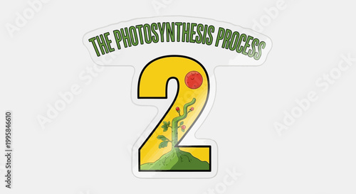 Photosynthesis Process Number Two, Science and Education Concept.