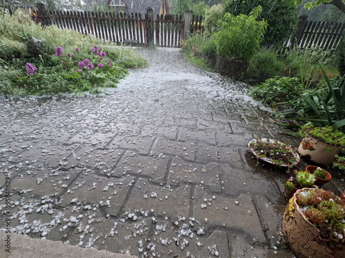 Severe hail storm damage in garden with heavy hailstones covering paved walkway and plants, extreme weather concept.