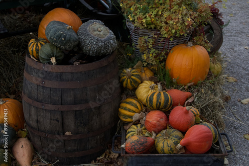 Assorted Heirloom Pumpkins and Squashes in Rustic Fall Harvest Display