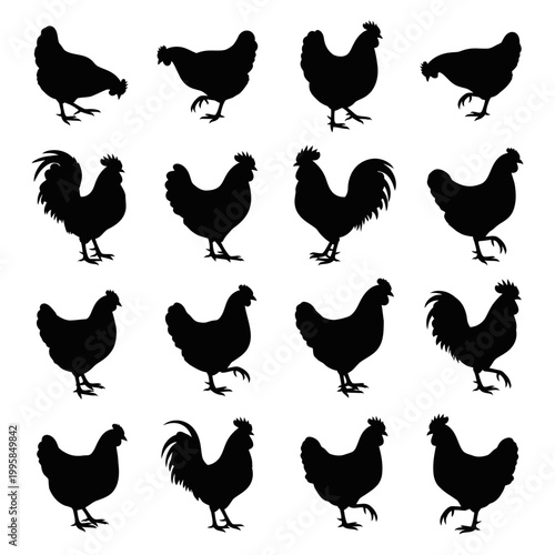 Chicken Silhouettes Collection: Roosters and Hens in Various Poses