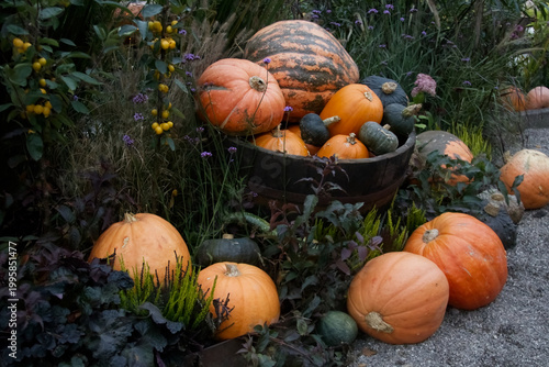 Assorted Pumpkins and Squashes in Wooden Barrel for Autumn Harvest Decor