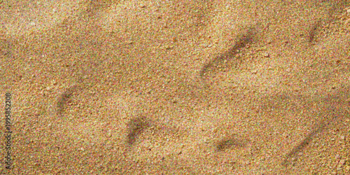  Footprints in the Sand: A Close-Up Perspective on a Serene Coastal Landscape 