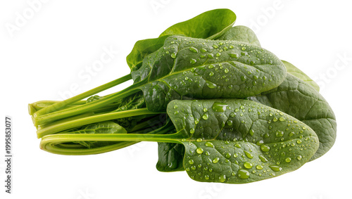 Foto Fresh green spinach bunch with water droplets close-up