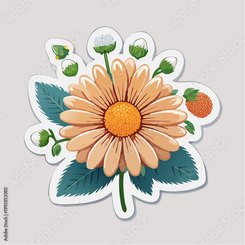 Illustration of a Peach Daisy with Buds and Leaves