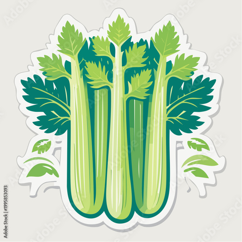 Illustration of Fresh Celery Stalks with Leaves