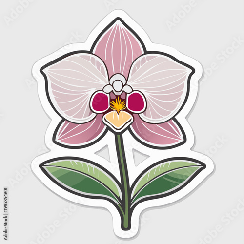 Stylized Pink Orchid Flower Illustration