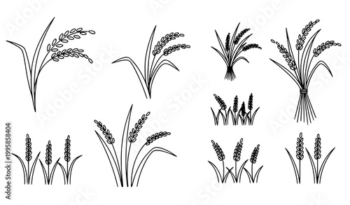 Minimal rice plant harvest vector set with simple grain stalk icons for agriculture concept isolated on white background