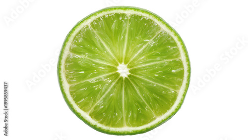 Fresh Lime Slice with Juicy Pulp and Rind Detail