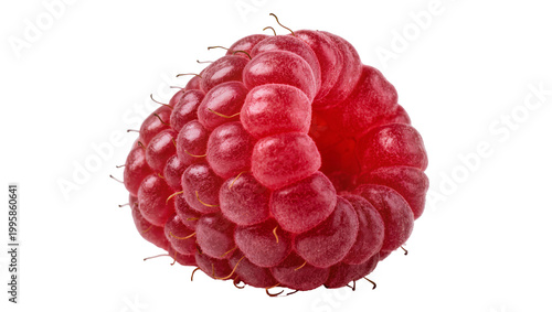 Fotografía Ripe juicy red raspberry with delicate stem and tiny hairs