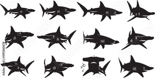 Set of Shark Silhouettes and Hammerhead Vector Icons for Marine Life Design 