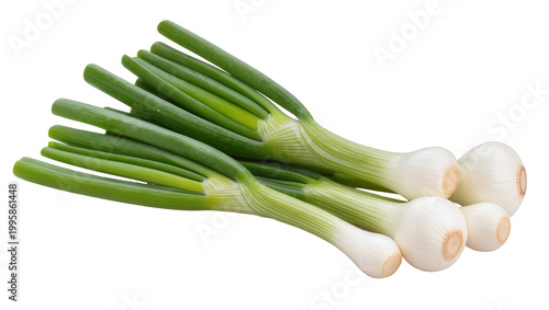 Konstfotografi Fresh Green Scallions with White Bulbous Roots