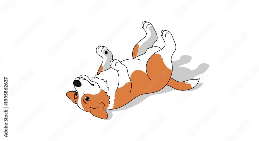Fototapeta premium Cute Welsh Corgi Puppy Lying on Its Back Playful Vector Illustration