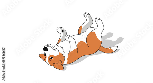 Cute Welsh Corgi Puppy Lying on Its Back Playful Vector Illustration